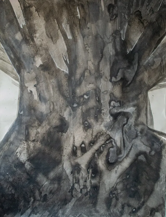 Зображення "Потовщення" від НІКА ШУМЕЙКО, розмір: 200 x 155 cm, матеріали: папір/туш, медіум: Графіка, місто: Київ, ціна: $2000
