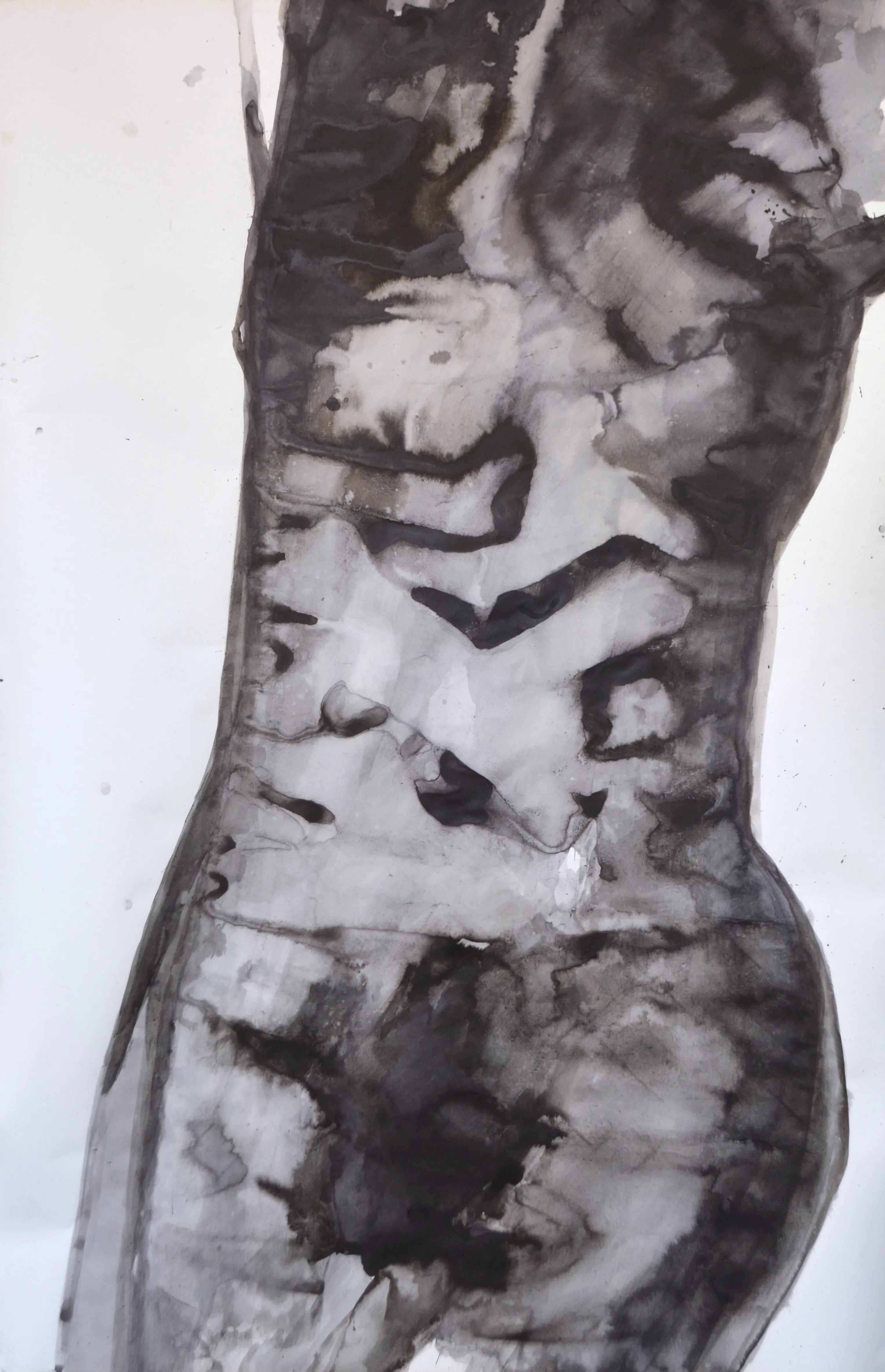 Зображення "Кора" від НІКА ШУМЕЙКО, розмір: 155 x 100 cm, матеріали: папір/туш, медіум: Графіка, місто: Київ, серія: Вкорінення, ціна: $350