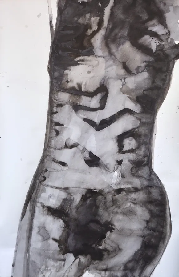 Зображення "Кора" від НІКА ШУМЕЙКО, розмір: 155 x 100 cm, матеріали: папір/туш, медіум: Графіка, місто: Київ, серія: Вкорінення, ціна: $350
