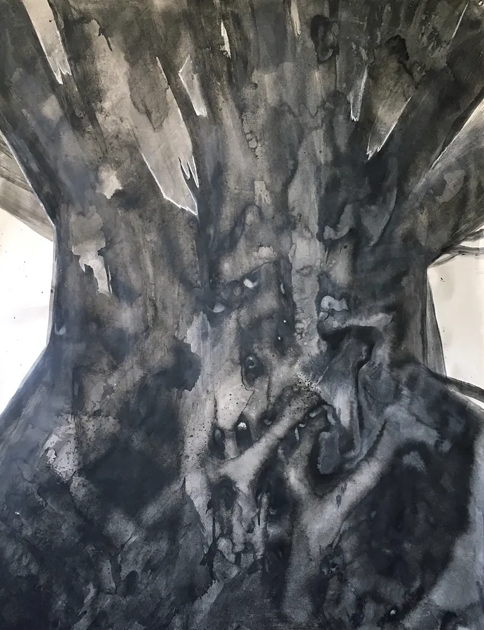 Зображення "Потовщення" від НІКА ШУМЕЙКО, розмір: 200 x 155 cm, матеріали: папір/туш, медіум: Графіка, місто: Київ, серія: Вкорінення, ціна: $700