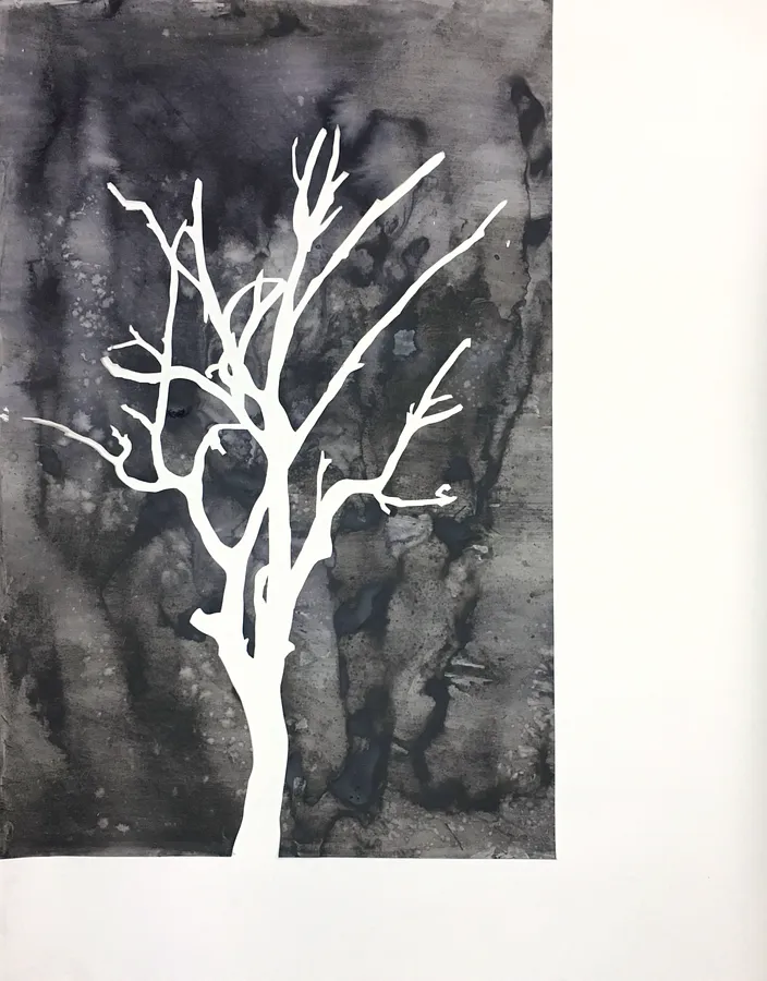 Зображення "Сон" від НІКА ШУМЕЙКО, розмір: 115 x 90 cm, матеріали: папір/туш, медіум: Графіка, місто: Київ, серія: Вкорінення, ціна: $250